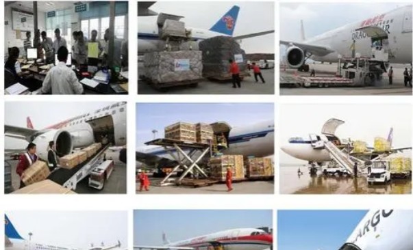 u=217941674,1400529888&fm=253&fmt=auto&app=138&f=JPEG_副本