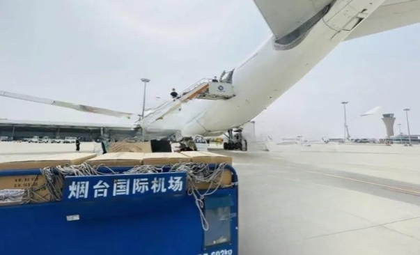 u=984416372,2800159377&fm=253&fmt=auto&app=138&f=JPEG_副本 u=984416372,2800159377&fm=253&fmt=auto&app=138&f=JPEG_副本