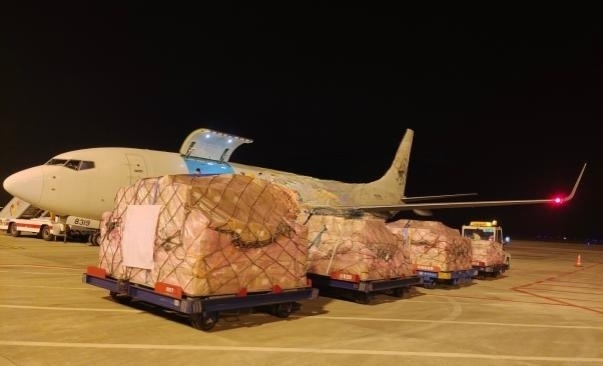 4ff6924c-d972-4396-917d-80b5c1d7e653 (1)_副本