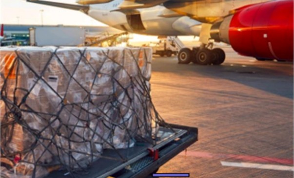 202305191038406288084_副本 202305191038406288084_副本