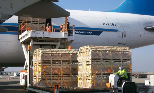 b_1236930201910162138355041_副本