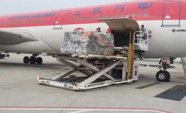 微信圖片_20230515224225_副本