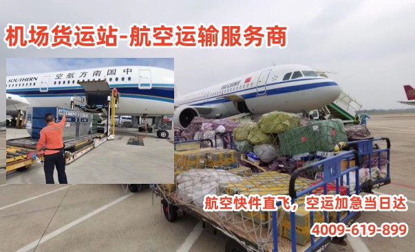 微信圖片_202304041552538_副本 微信圖片_202304041552538_副本