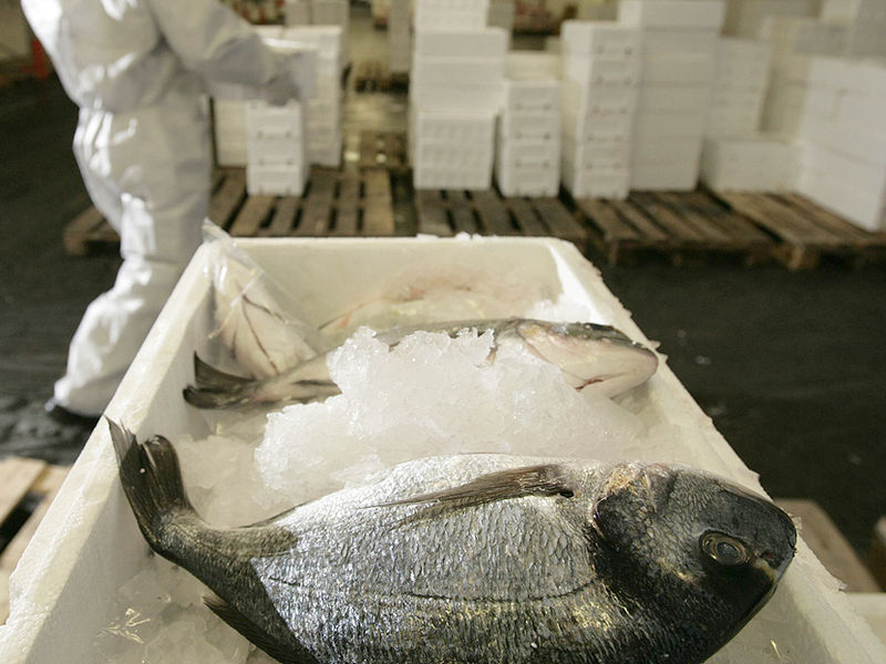 海鮮魚(yú)上海航空托運(yùn)公司
